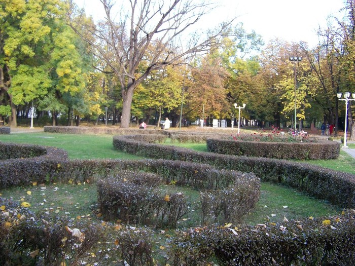 100_0669 - Timisoara 3 Noiembrie 2011
