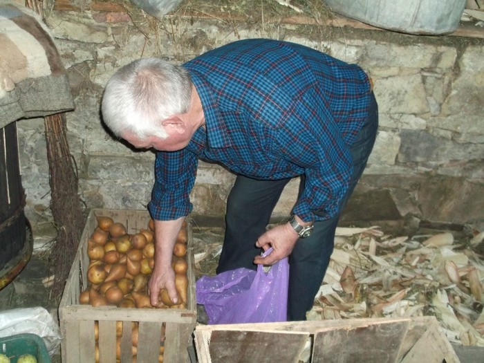 .......sa le dau niscaiva pere - FERMA LUI BILL LA DUMITRA