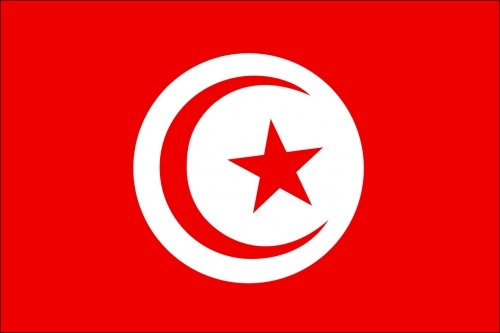 TUNISIA - TUNISIA-ring collection