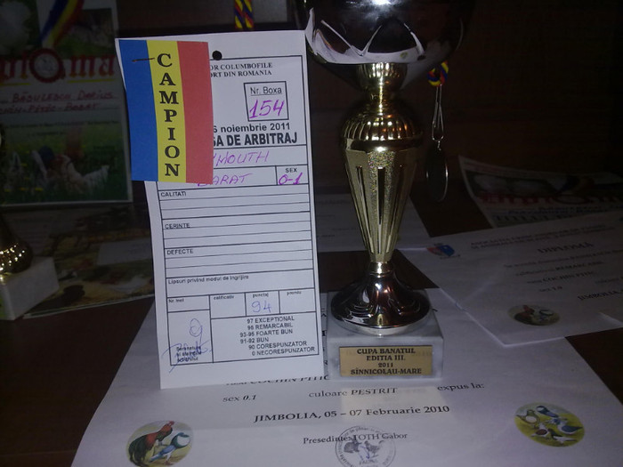 campion plymouth 0-1 expo sannicolau mare 3-6 -11-2011 - Cupe si diplome