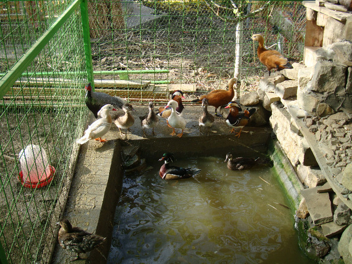 DSC05686
