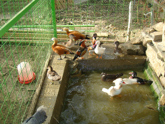 DSC05690