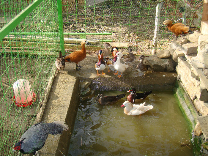 DSC05691