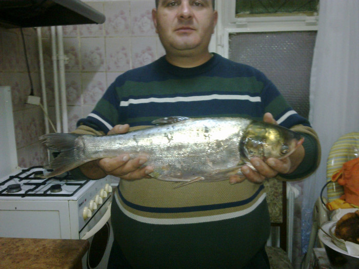 Gurbanesti 2 kg chinezesc - la pescuit 2011