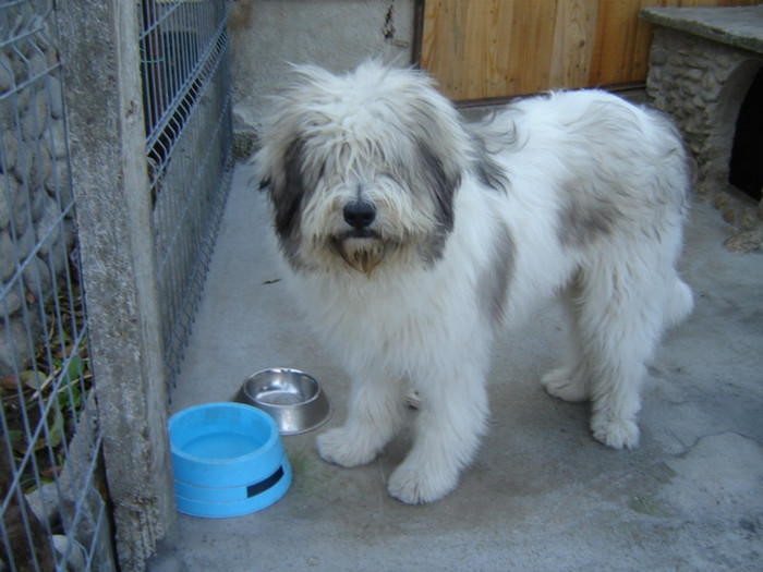 DSC08377; noiembrie 2011-la 8 luni
