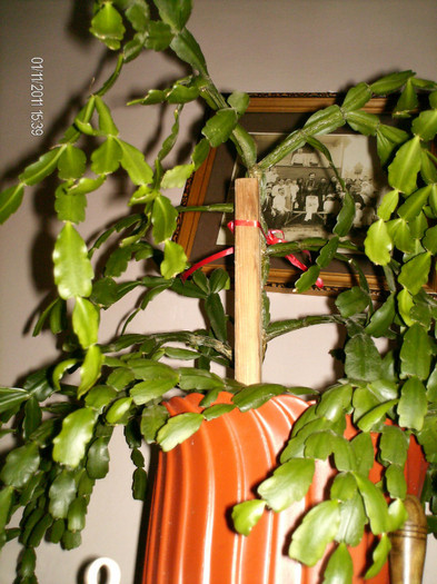 pare "suparata" dupa mutare