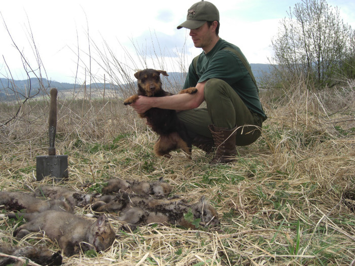 Sarreti Vadasz Celli