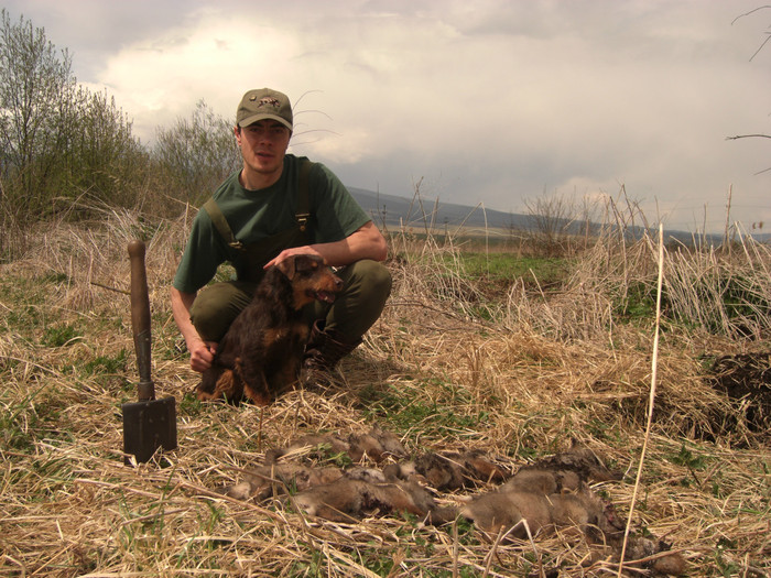 Sarreti Vadasz Celli