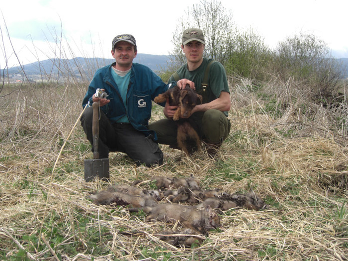 Sarreti Vadasz Celli