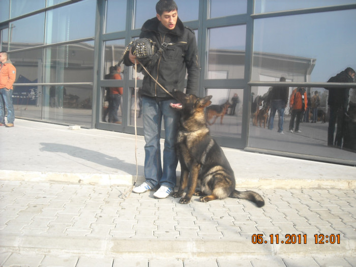 DSCN0605 - CACIB Craiova 2011