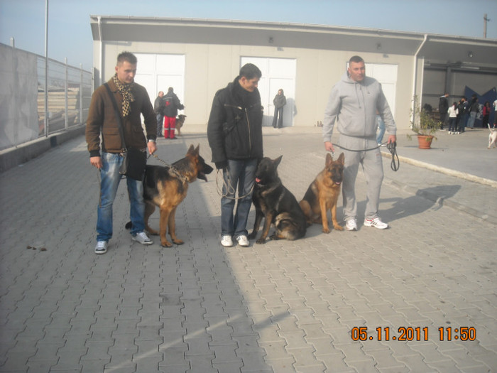 DSCN0599 - CACIB Craiova 2011