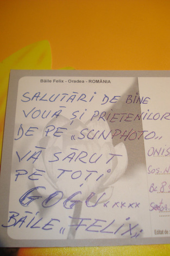 DIN STATIUNE! - TATA GOGU-IRLANDEZUL