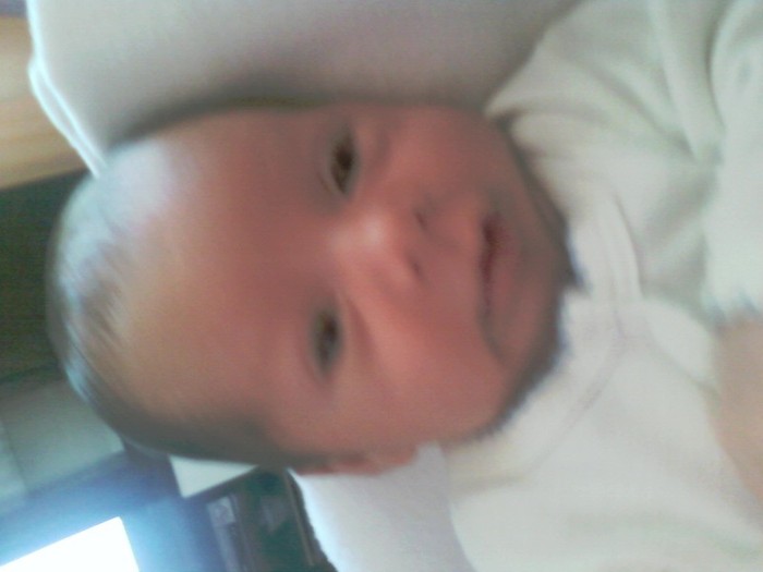 Fotografii-0236 - Printul meu TUDOR