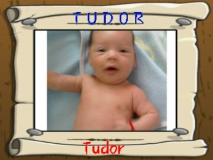 T U D O R - Printul meu TUDOR