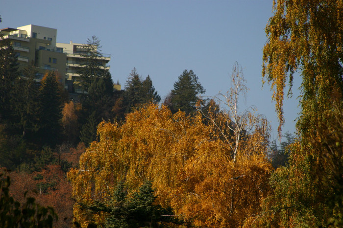 IMG_4318 - 22Toamna 2011 Brasov