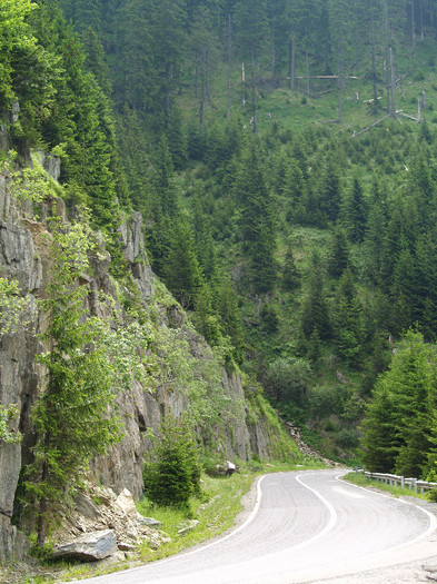 Day trip to mountains and waterfall Romanian Pictures 20 (2) - Pe  TRANSFAGARASAN  2