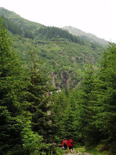 Day trip to mountains and waterfall Romanian Pictures  (144) - Pe  TRANSFAGARASAN  2