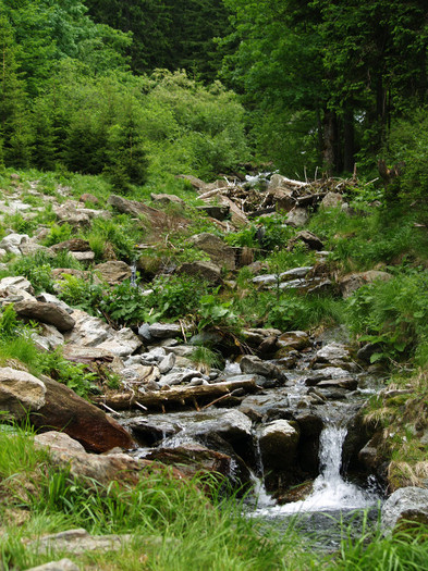 Day trip to mountains and waterfall Romanian Pictures  (147)