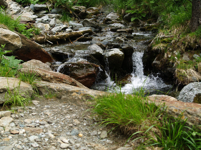 Day trip to mountains and waterfall Romanian Pictures  (148)