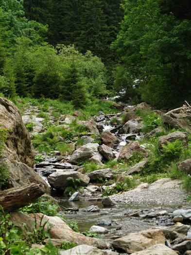 Day trip to mountains and waterfall Romanian Pictures  (149)