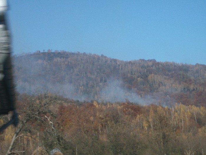 8.11.2011-a luat foc muntele - Defileul Jiului