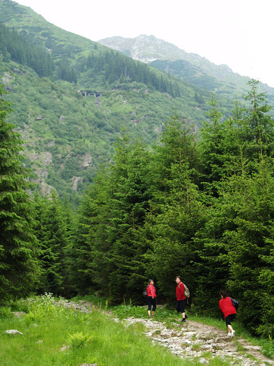 Day trip to mountains and waterfall Romanian Pictures  (141)