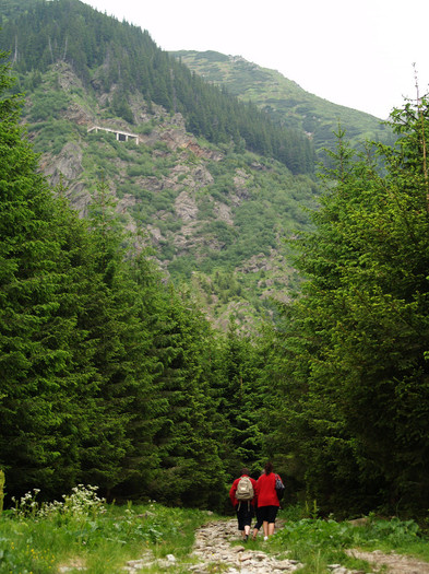 Day trip to mountains and waterfall Romanian Pictures  (142)