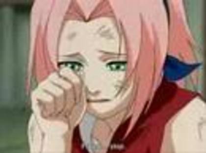 Eu: Sakura, nu mai plange.Potoleste-te! - Sakura Crying