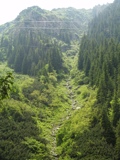 Day trip to mountains and waterfall Romanian Pictures  (168)