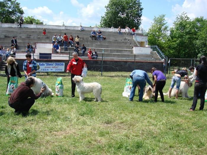 craiova 2008 5 - Craiova 2008