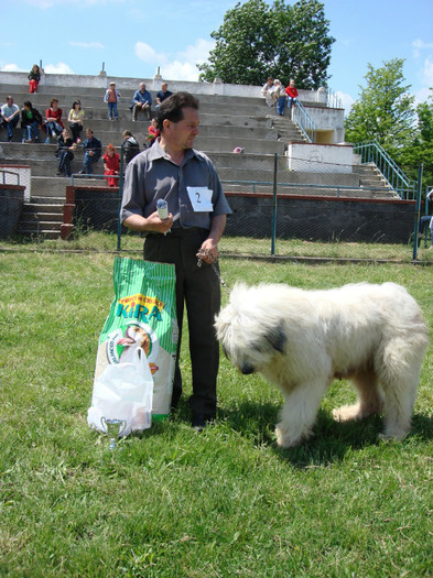 BAGHERA DE BANIE craiova 2008