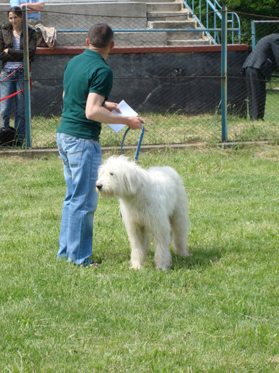 craiva 2008 8