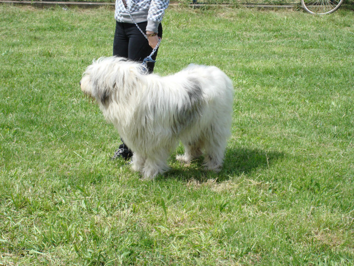 craiva 2008 10