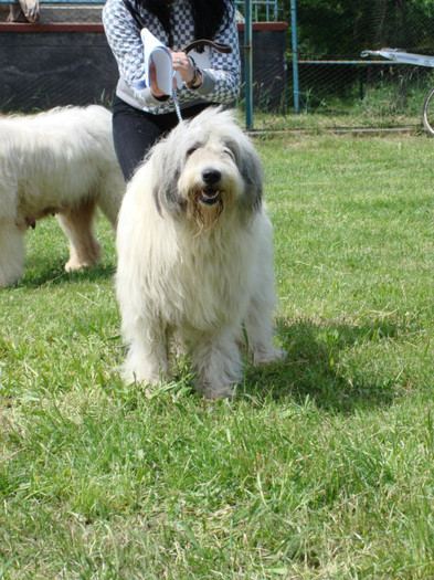 craiva 2008 11