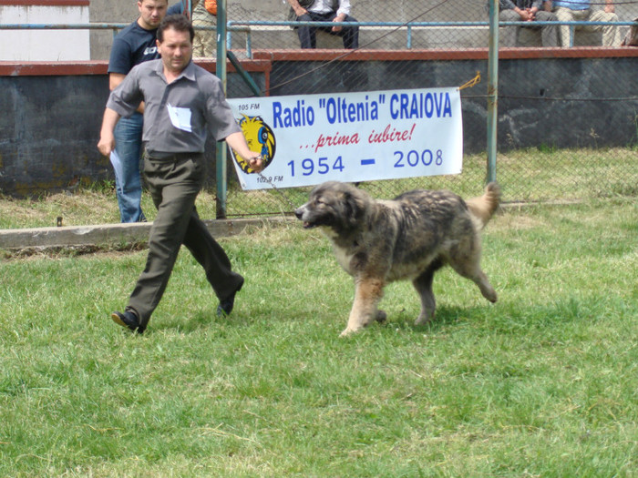 TAIGA DE BANIE craiova 2008 2