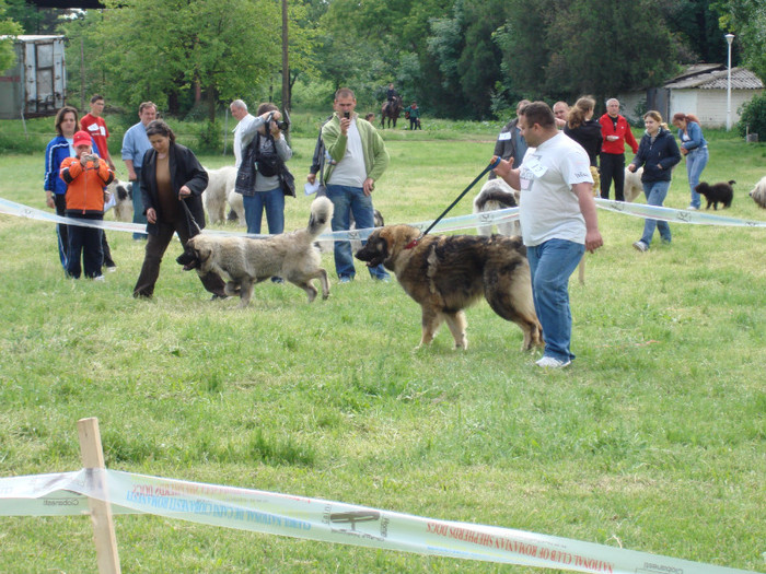 craiova 2008 10