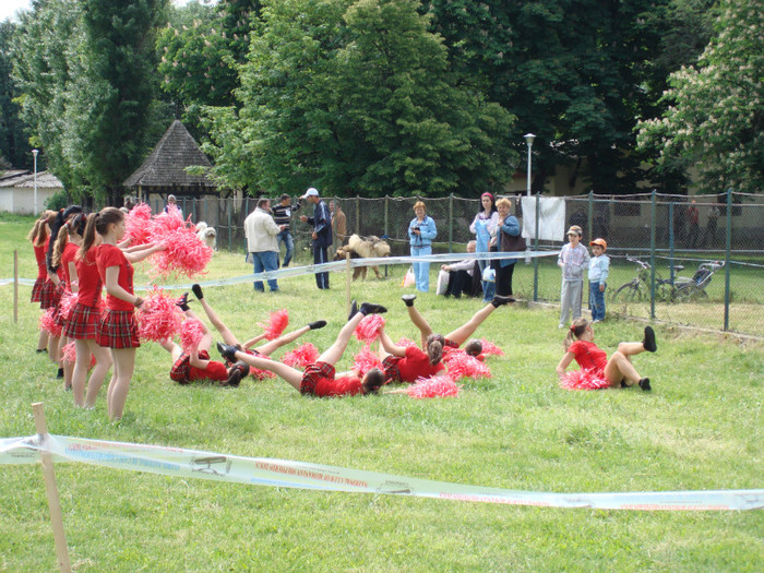 majorete craiova 2008 11