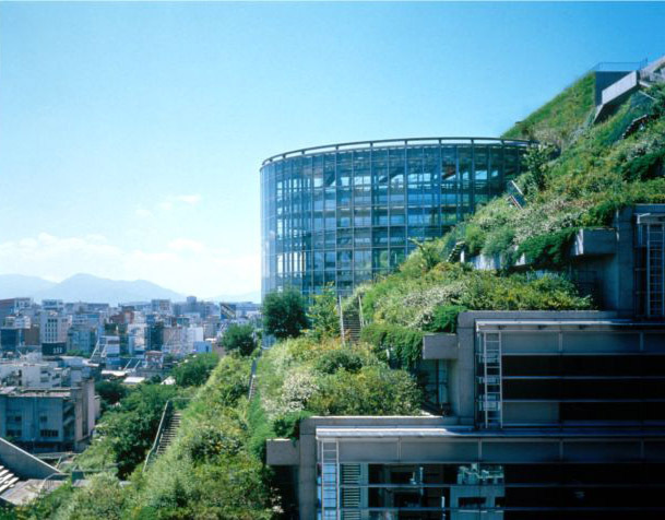 amazing-green-roofs-fukuoka-prefektural-11 - Acoperisurile verzi-Green roofs