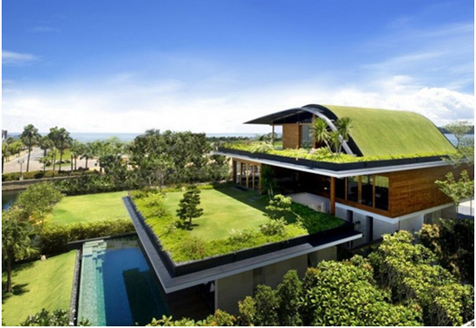 green-roof-insulation - Acoperisurile verzi-Green roofs