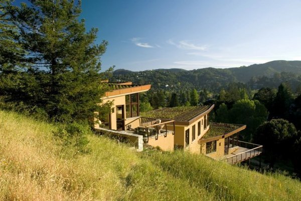 Mill-Valley-Residence-by-McGlashan-Architecture-1 - Acoperisurile verzi-Green roofs
