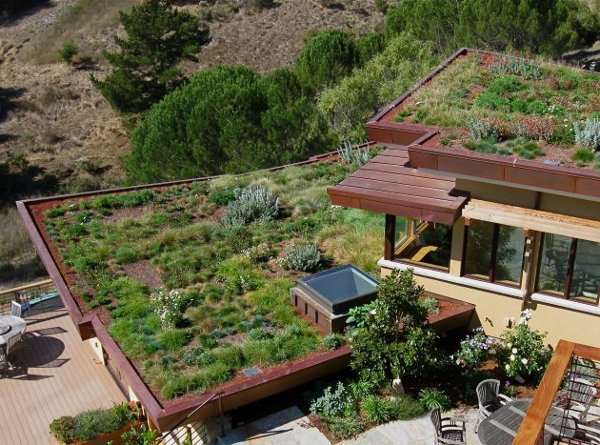 Mill-Valley-Residence-by-McGlashan-Architecture-2 - Acoperisurile verzi-Green roofs