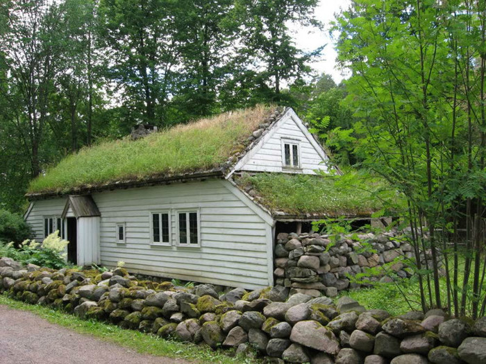 Traditional-Grass-Green-Roofs