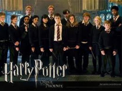 images (26) - Harry Potter