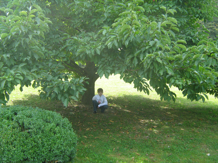 TOT DANY LA CURTEA DE ARGES - 11-EXCURSII