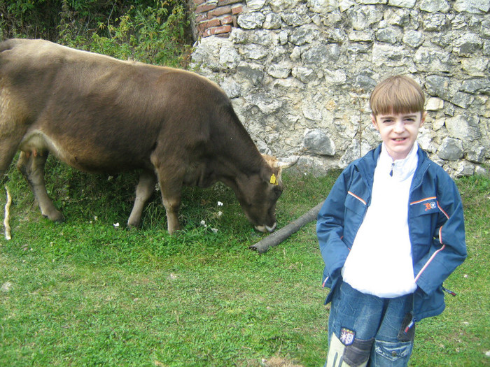 DANY IN DRUM SPRE PESTERA DAMBOVICIOARA - 11-EXCURSII