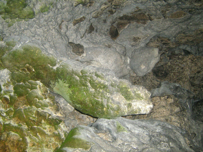 SARPELE DIN PESTERA - 11-EXCURSII