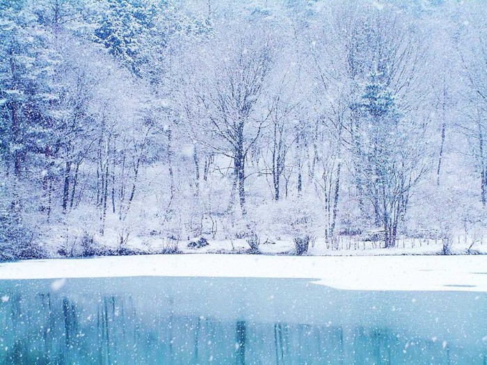 winter_wallpaper - compuneri depre iarna