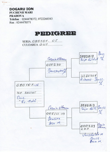 ianssen-toye list - pedigree