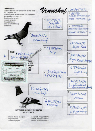 venus-majestic - pedigree