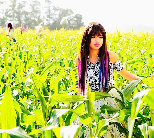 314618_246035265452150_119049044817440_604870_494883562_n - selena gomez